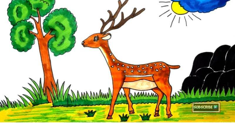 Youtube.com/Hobiku menggambar